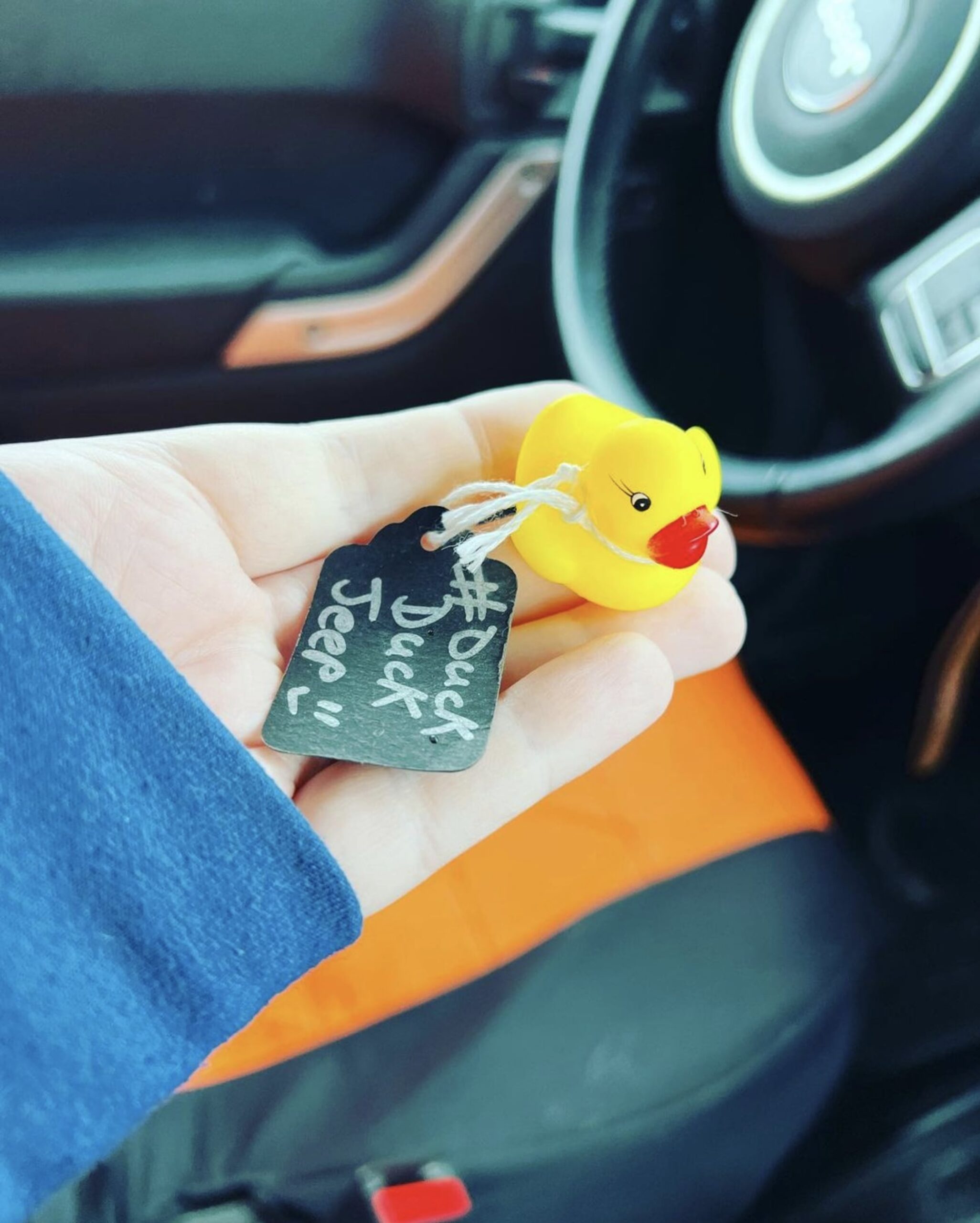 Duck Duck Jeep 2 scaled